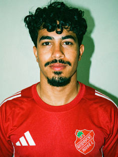 Hassan Diaa Abdulhussein Mussa