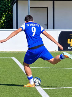 Armin Gavranovic