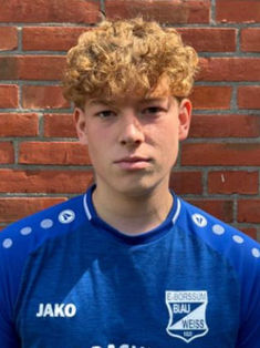 Joris van Scharrel