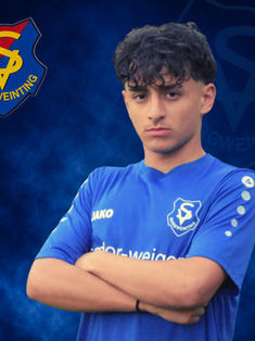 Avatar Bild für Ziad Alhallat