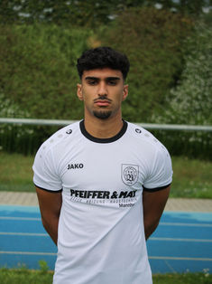 Rastin Ansari Khaledi