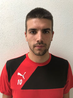 Dominik Friedrich