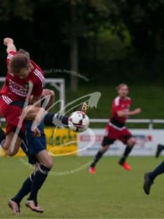 Tim Lütkefedder