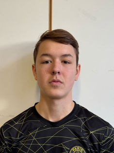 Stanislav Paladi