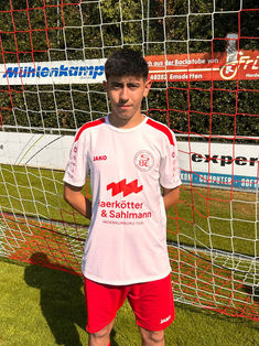 Walid Ali