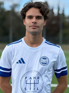 Lewe Luis Tiede