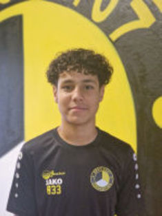 Ayoub Bibi