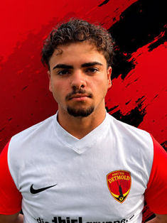 Ronny Raoul Demir