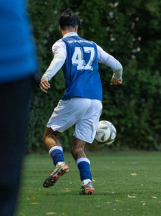 Alan Gayip