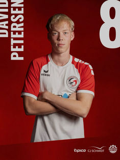 David Johannes Shyam Petersen