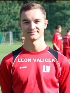 Leon Valicek