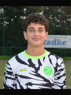 Efe Volkan Celik
