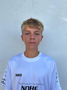 Niklas Leon Molk