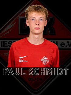 Paul Schmidt