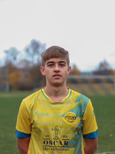 Emil Reich