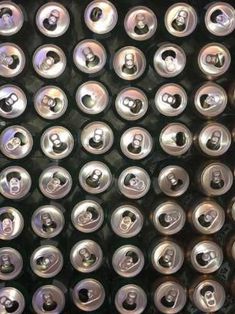 Nick Neithart Sommer