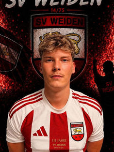 Niklas Vogelfänger