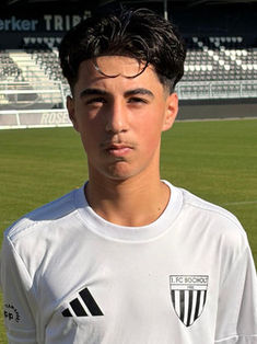 Arian Mahmoud
