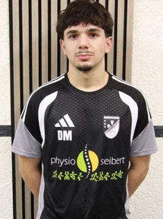 Duarte Meireles Martins