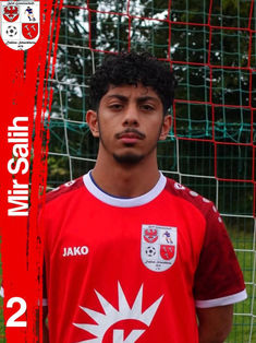 Mir Saleh