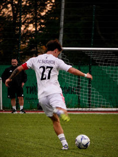 Luca Renner