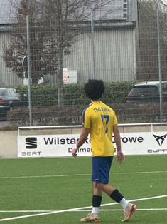 Arian Farhangian