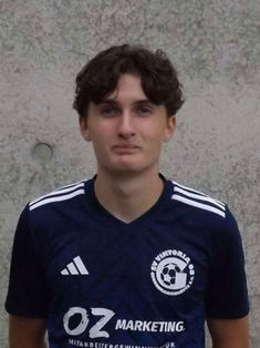 Jesper Luca Wolterink