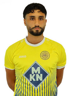 Mohamed Fakhreldine