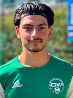 Taylan Sarac