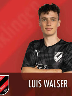 Luis Walser