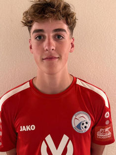Joel Andris