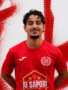 Muhamed-Emir Arslan