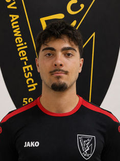 Erdem Emir Yildiz