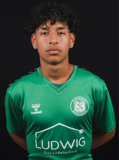 Erik Lorenzo Casanova Llajaruna