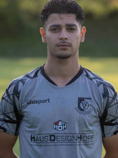 Ahmad Kamel Mardnli