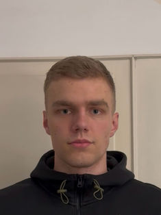 Julien Schmidt