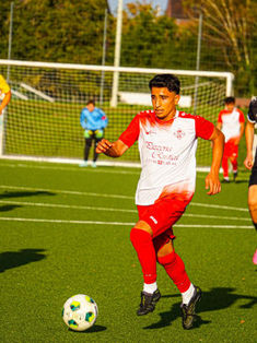 Netlas Sami Hagie