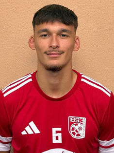 Levan Bichinashvili