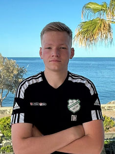 Niklas Krause