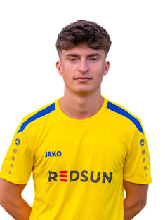 Dion Ameti