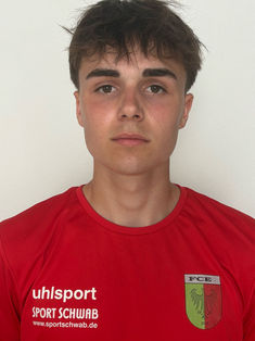 Willi Erl