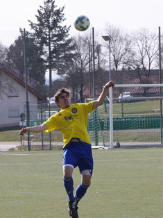 Daniel Sarec