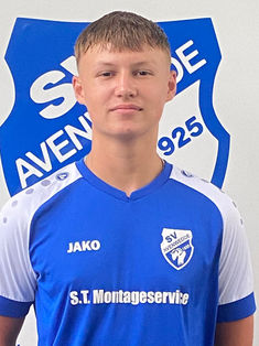Nikita Alexander Steinhauer