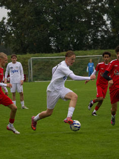Collin Kann