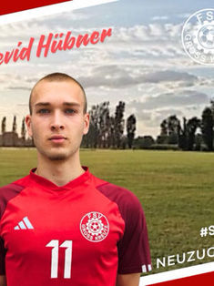 Devid Hübner