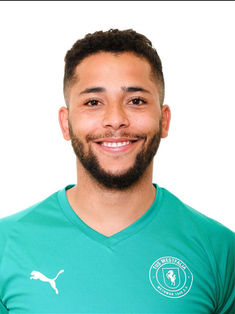 Raphael Mark