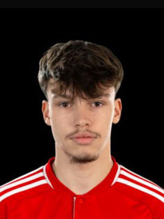 William Giegold