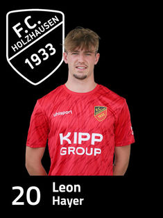 Leon Louis Hayer