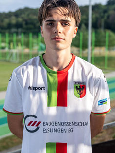 Willi Erl