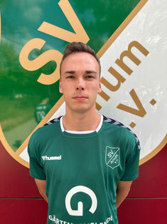 Jan Henrich